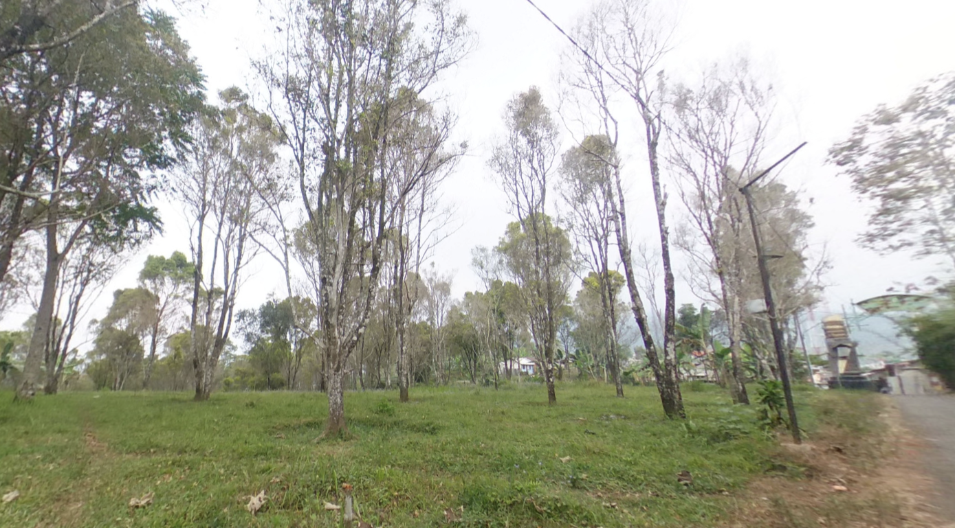 Kebun Cengkeh Bumijawa